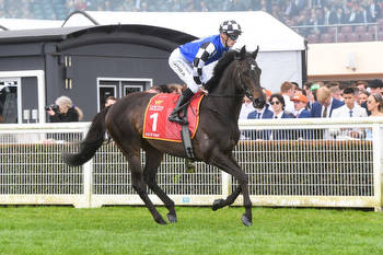 Gold Trip to back up in the Cox Plate