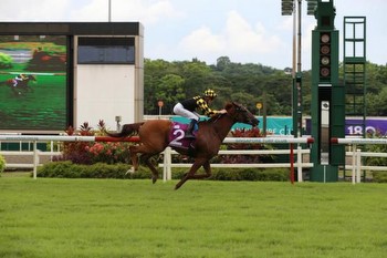 Golden Monkey shines in G2 Stewards' Cup, Latest Racing News