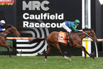 Golden Rose and Caulfield Guineas in the sights of Jacquinot