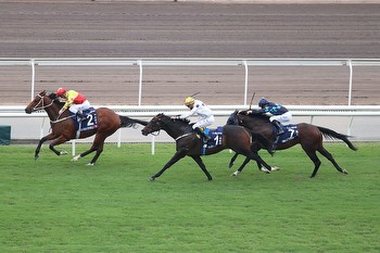 Golden Sixty Challenges The Odds And Claims Victory In Hong Kong Mile