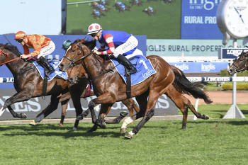 Golden Slipper 2022 contender back in work