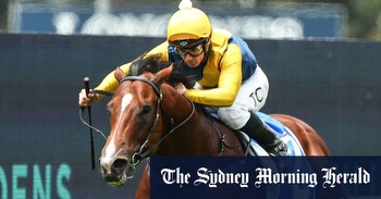 Golden Slipper 2024: Coolmore buy favourite Storm Boy in potential $50 million deal