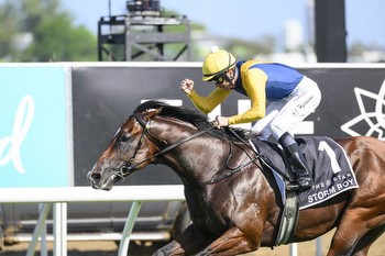 Golden Slipper favourites fare well at barrier draw