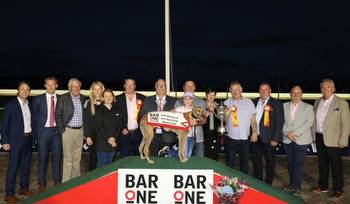 Gone to the dogs: Big win for Edenderry owned greyhound
