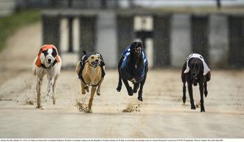 Gone to the dogs: Five Offaly winners