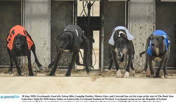 Gone to the dogs: Fourteen Offaly winners