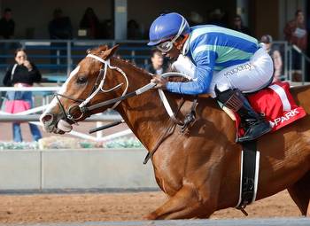 Good Magic's How Did He Do That Gets Best of Blanket Finish in Oklahoma Derby