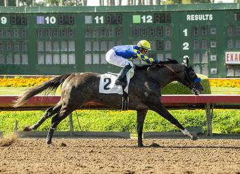 Good Magic's Reincarnate Wires Los Alamitos Derby