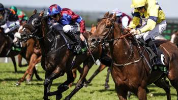 Goodwood Stewards' Cup 2023 runner-by-runner guide and Templegate's tip for bonkers 28-horse cavalry charge