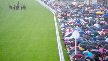 Goodwood's Stewards' Cup card called off with three races remaining due to unsafe ground