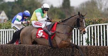 Grand National 2022 research shows 66-1 shot Deise Aba likely to win big Aintree race
