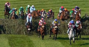Grand National 2023 full results, each way bet payouts and where your horse came
