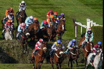 Grand National 2023: Where did my horse finish in Aintree showpiece race?