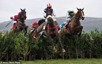 Grand National: A look at the runners in Saturday's £1million Randox race