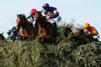 Grand National finishing order and winners