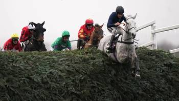 Grand National tips & hints: Which horses are bred to stay the distance at Aintree?