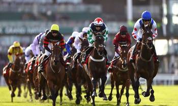 Grand National tips: Seven horses to back on Ladies Day including Cheltenham winner