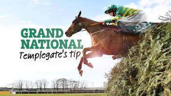 Grand National tips: Templegate's huge 14-1 pick and complete runner-by-runner guide to the big race at Aintree