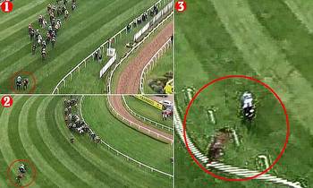 Grand National's £1m calamity for punters as stray horse forces race leader across course