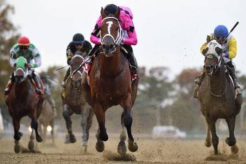 Great weekend of horse racing for Japan; Maximum Security wins again