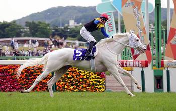 Great white wonder: watch how ‘idol horse’ Sodashi earns Breeders’ Cup spot with popular Tokyo triumph