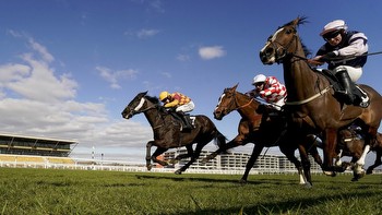 Greatwood Gold Cup guide: Granedur D'Ame takes on Highstakesplayer at Newbury