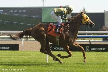 Greer Homebred Still The Talk Of The Town At Woodbine
