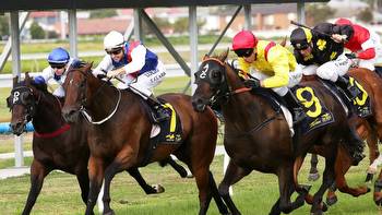 Greg Polson's Newcastle and Wagga Tips: $3.70 best bet at Newcastle