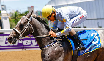 Grey Makes Deep Impact Ahead Of Cape Sale