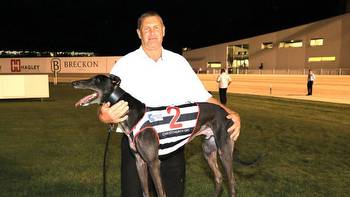 Greyhound racing: Champion greyhound Know Keeper retires