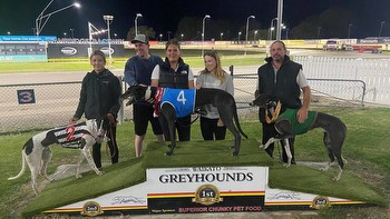 Greyhound racing: He’s All Go headlines 2024 New Zealand Derby