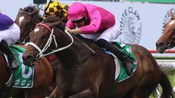 Group 1 mares Fangirl, Hinged and Icebath set for Apollo clash with Anamoe