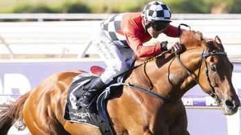 Group 1 winner Trap For Fools to make surprise carnival comeback