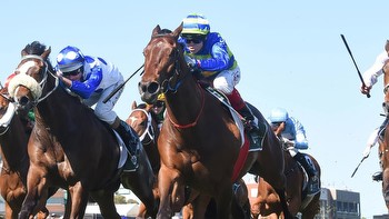 Group 2 Zipping Classic shot for exciting stayer