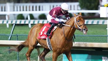 Gun Runner heavy favorite in his final race, the $16M Pegasus World Cup