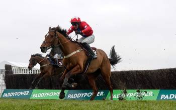 Haldon Gold Cup tips and runners guide to Exeter 3.30 on Friday