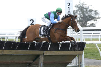 Happy Star Impresses With Riccarton Win Ahead Of Grand National