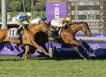 Hard to Justify Gives Brown A Sixth BC Juvenile Fillies Turf Title