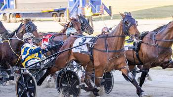 Harness: Emma Stewart poised to match Inter Dominion pacing final record