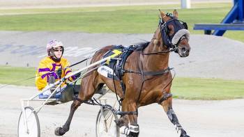 Harness racing: Catch A Wave and Ladies In Red tuning up for bigger targets at Melton