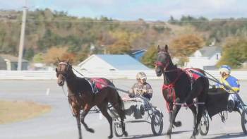 Harness racing group mounts campaign to 'seize' control of Fredericton Exhibition Grounds