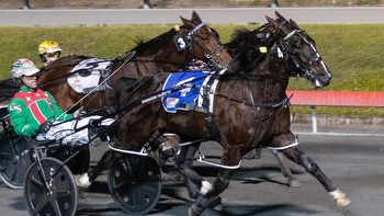 Harness racing: Inter Dominion not a two-horse race, says top driver