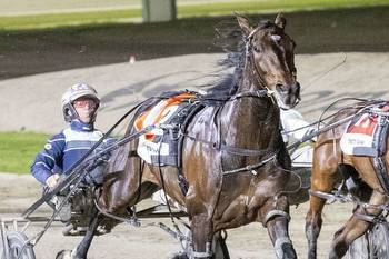 Harness racing: Win crucial for star pacer Captain Ravishing