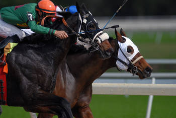 Harrah's Hoosier Park Derby