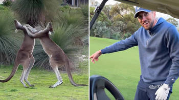 Harry Kane and James Maddison's round of golf interrupted by FIGHTING KANGAROOS on Tottenham's Australia tour