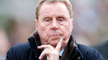 Harry Redknapp offered big money for latest transfer as offers flood in for his £500,000 racehorse