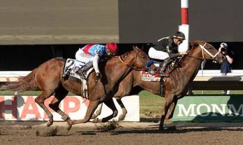 Haskell Champ Cyberknife Among Top Choices In BC Dirt Mile