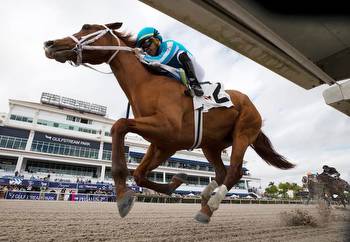 Haskell Stakes 2023 Runners: Kentucky Derby Hero Mage Entered