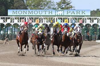 Haskell Stakes 2023 Trends and Stats To Find Monmouth Winner