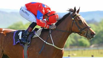 Hastings horses now target Riccarton features